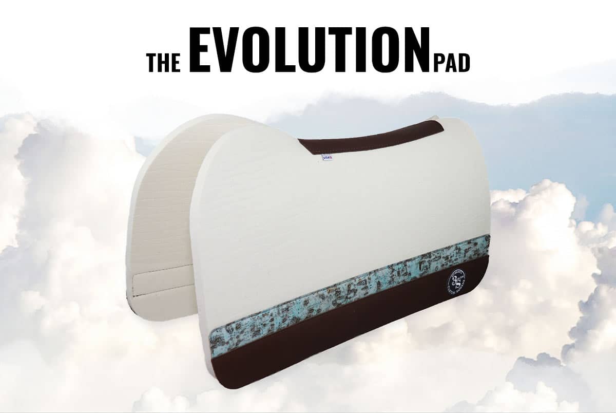 Evolution-Pad-Clouds