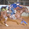Sue-Smith-Using-3S-Saddle-Pad