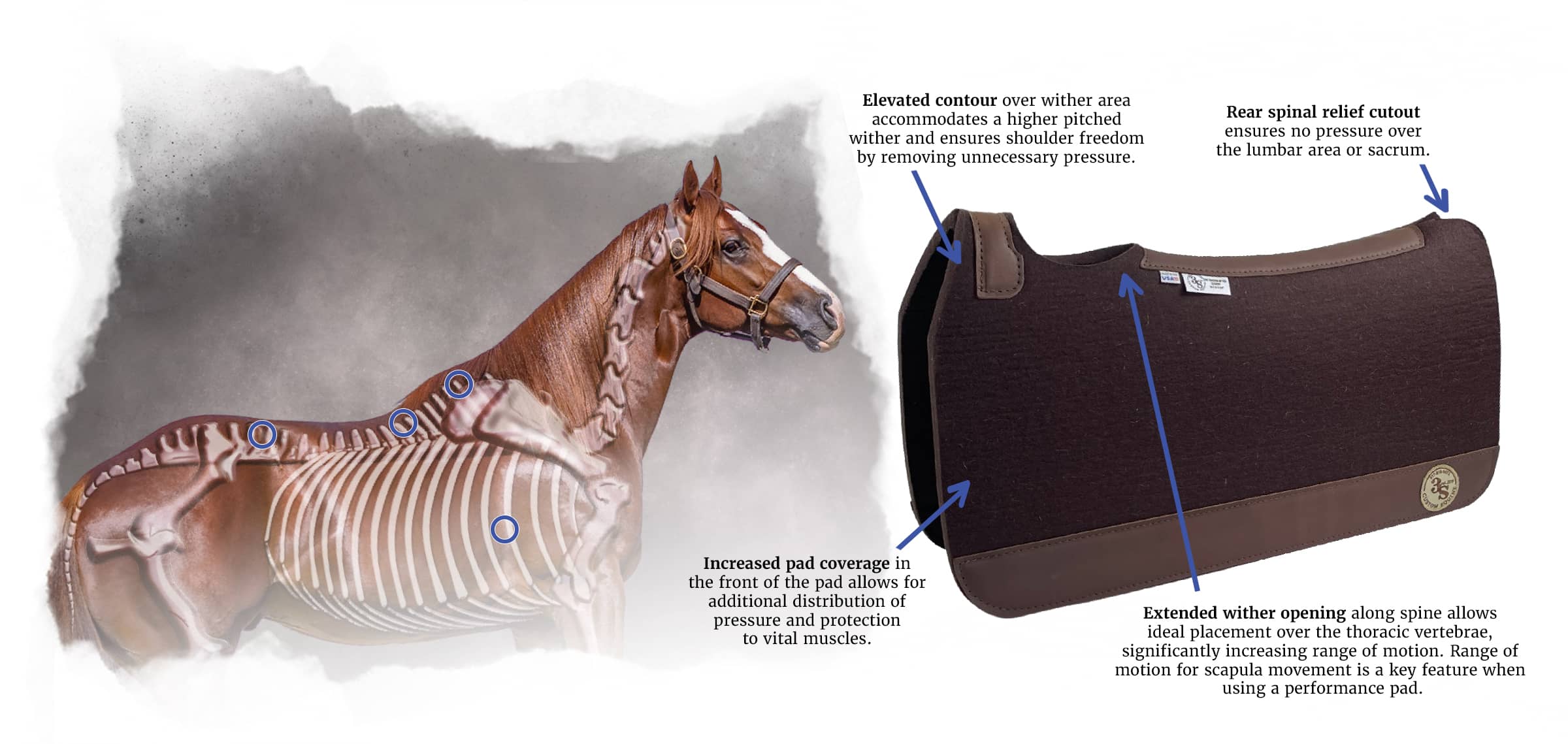 CLASSIC Pad - Open Spine Channel & Custom Options – Total Saddle Fit